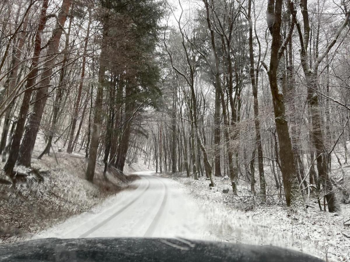 Hidegpataki Fakapu Vadászház Abaújszántó Exterior foto