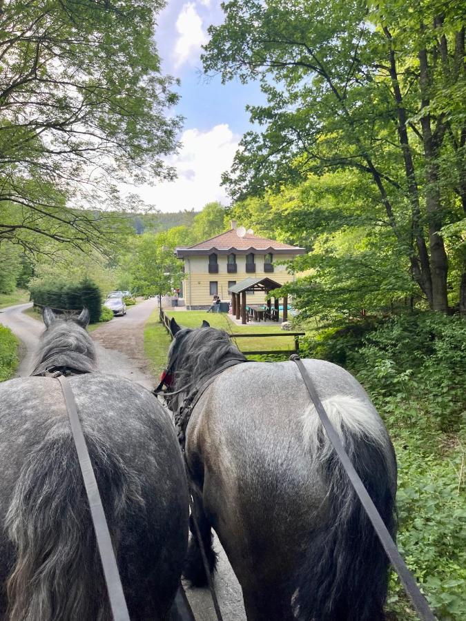 Hidegpataki Fakapu Vadászház Abaújszántó Exterior foto